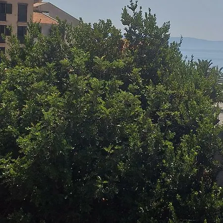 Apartmani Suzy * Podgora (Split-Dalmatia)